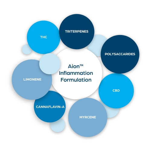 Aion™ Inflammation Formulation